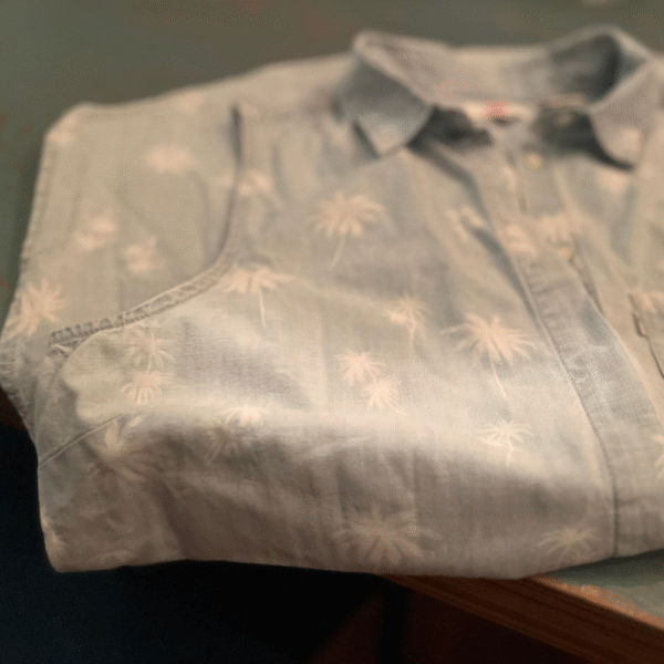 shirt by levi's
