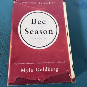 bee season by second chapter tbilisi english books in tbilisi by second chapter